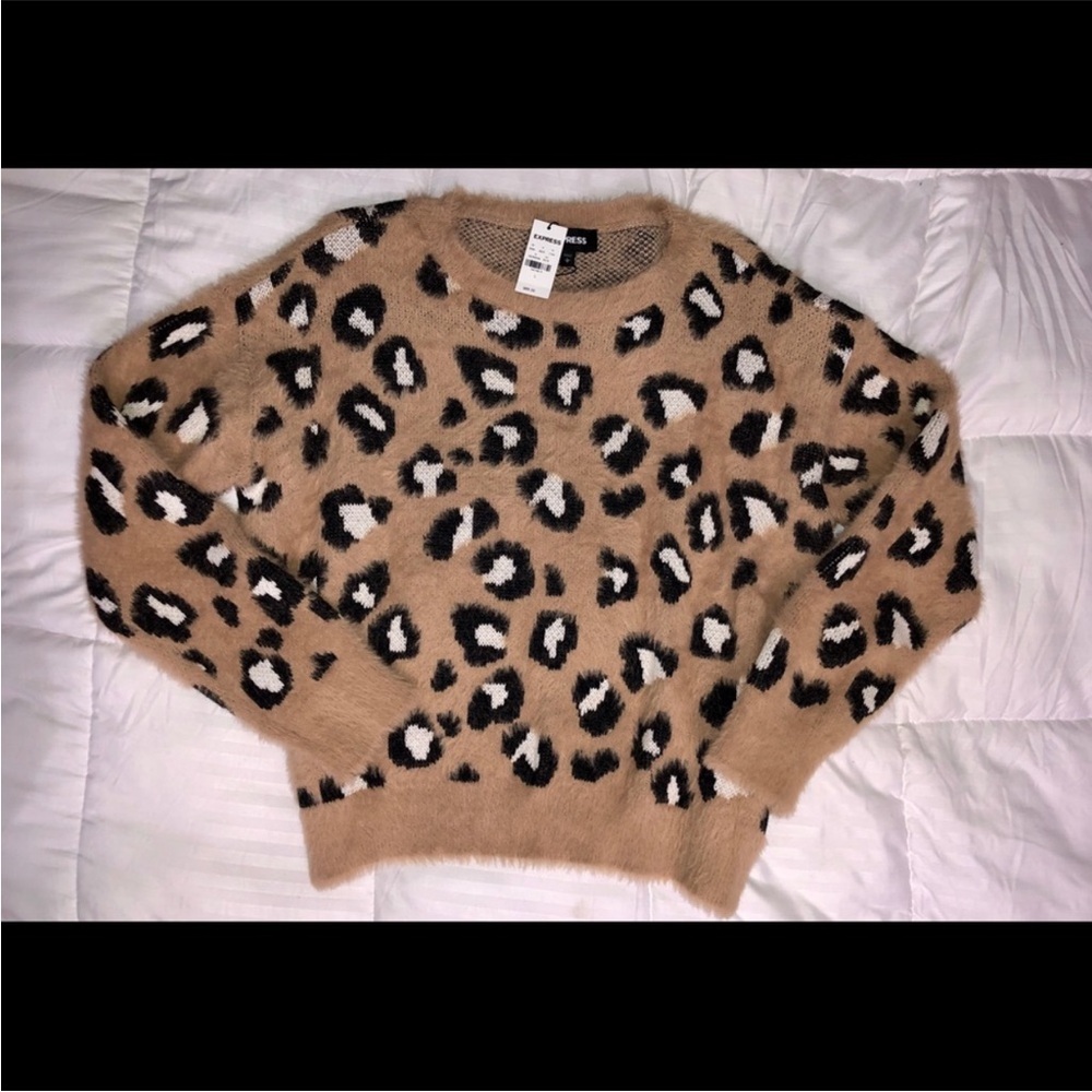 Express 🐆 Print Sweater
